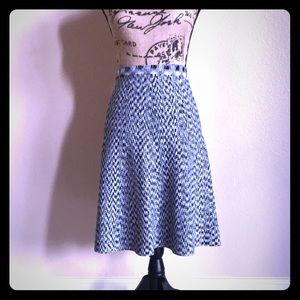 Ann Taylor Flare Skirt.